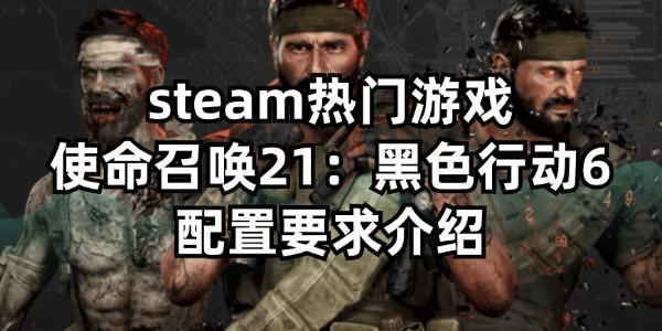 steam熱門游戲使命召喚21：黑色行動(dòng)6配置要求介紹