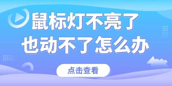 鼠標(biāo)燈不亮了也動(dòng)不了怎么辦