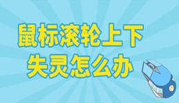 鼠標滾輪上下失靈怎么辦 教你幾招快速修復