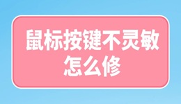 鼠標(biāo)按鍵不靈敏怎么修 五步教你快速修復(fù)